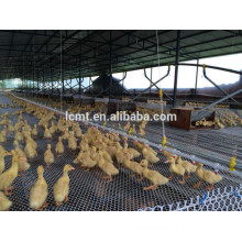 China factory design poultry farm equipment for chicken farm